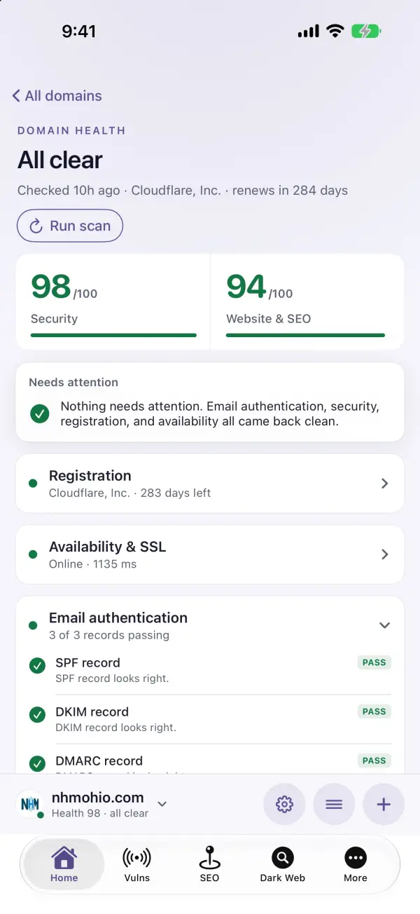 A domain's checkup in the DomainGuard app: score, what to fix first, and the email records